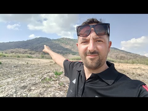 I go looking for WILD Elephants in  Thailand!