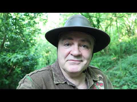 PHUKET SANDBOX: IS IT WORTH GETTING EXCITED ABOUT?