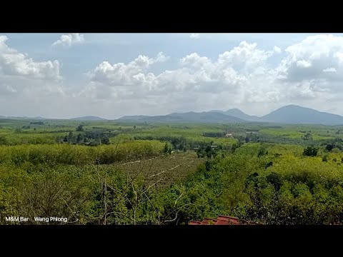 Thailand's Jungle: Nature's Playground