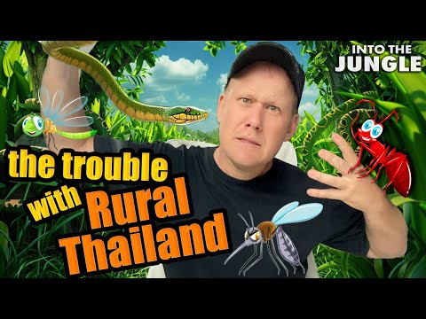 The trouble with RURAL THAILAND