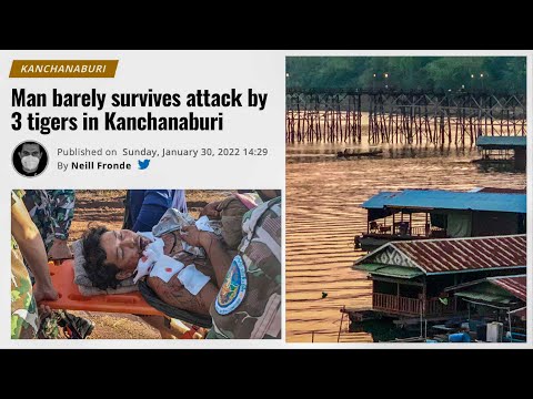 The Wild Side of Kanchanaburi (Road Trip)