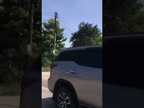 Out and about in Pattaya, see what's happening out there #shorts