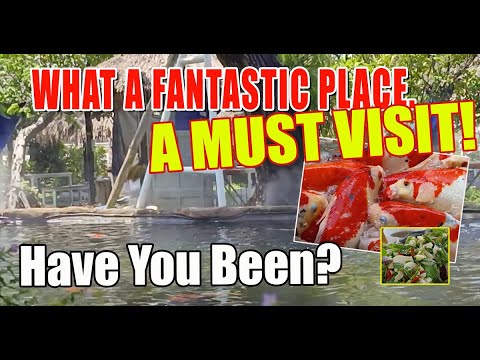 This place in Pattaya was so good, have you been?