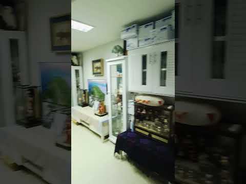 Wellthyme Clinic is a testosterone HRT clinic based in Pattaya. #shorts #pattaya #pattayathailand