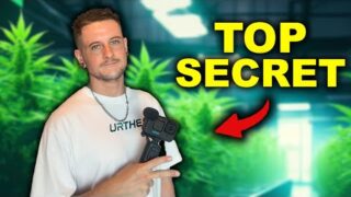 Bangkok's BEST Kept Secret Cannabis Facility EXPOSED!
